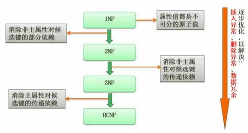 数据库系统