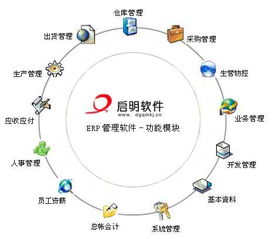 erp如何操作 只说操作就行了 最好带点图解的